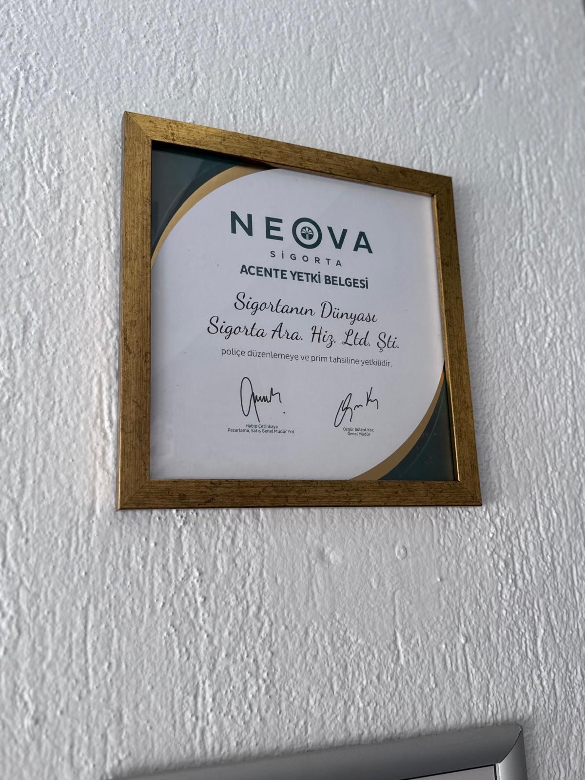 Sigorta'nın Dünyası