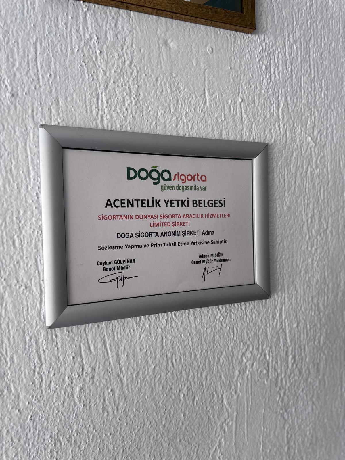 Sigorta'nın Dünyası