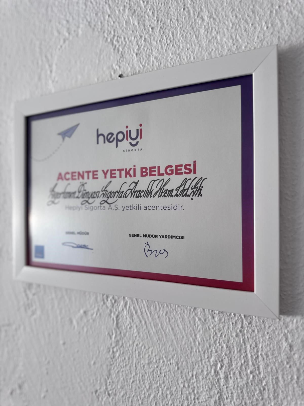 Sigorta'nın Dünyası